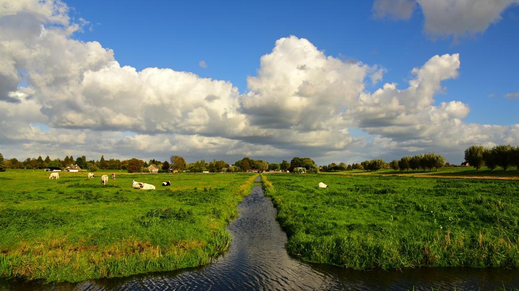 landschap.jpg