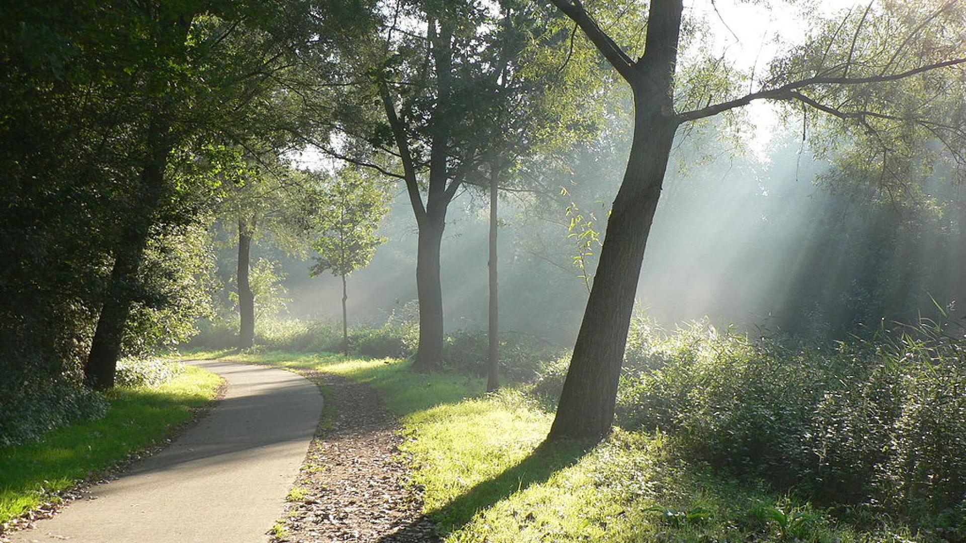 1024px-Fietspad_naar_campus_Diepenbeek.JPG